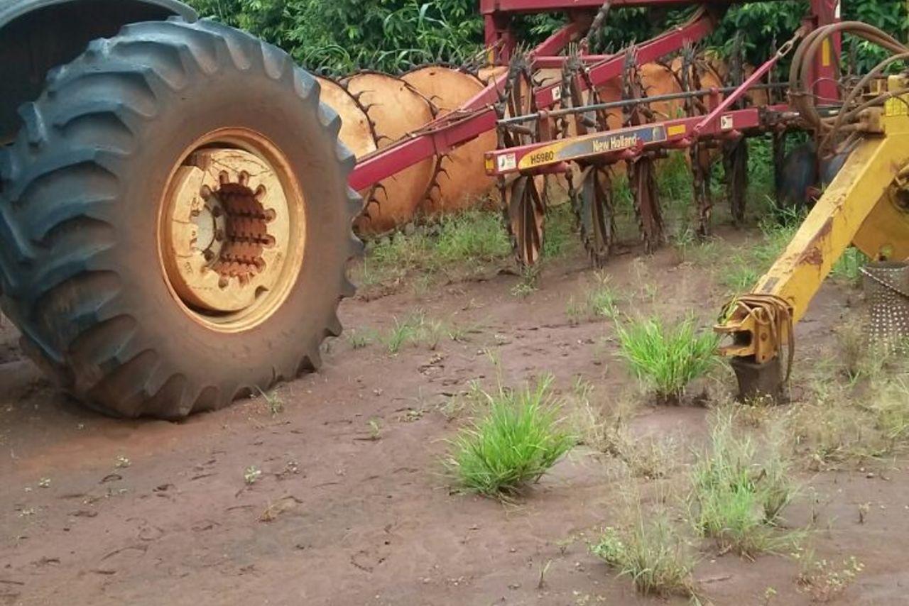 Imagem do anúncio