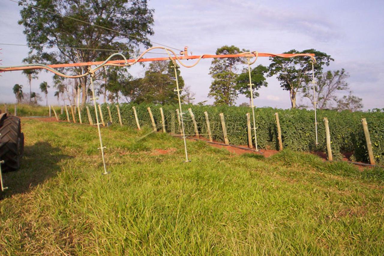 Imagem do anúncio