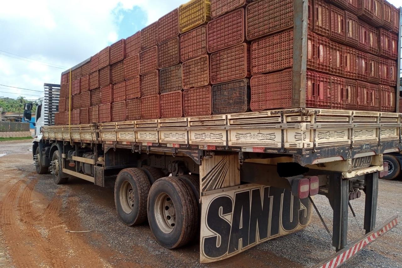 Ford 3031 - 18/19 9