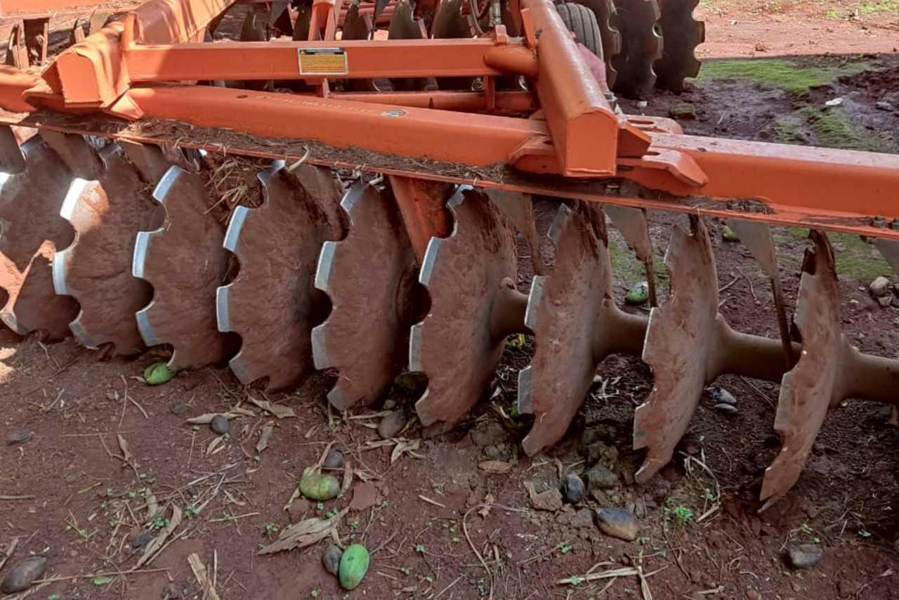Imagem do anúncio