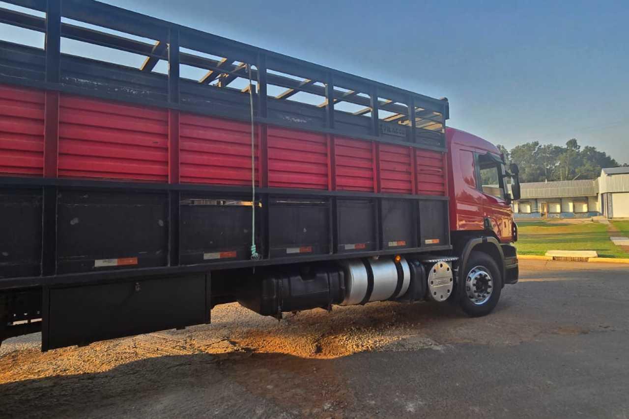 Scania P310 - 13/13 1