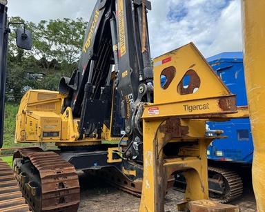 Feller Buncher de Esteira