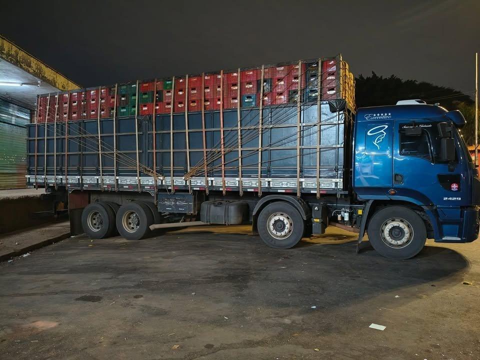 Ford Cargo2429 - 13/13 5