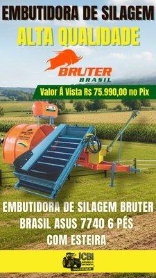 Embolsadeira
